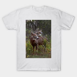 A Hard Days Rut - White-tailed deer T-Shirt